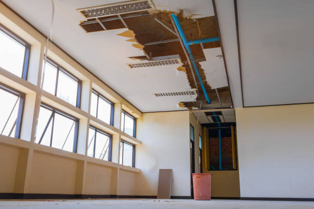 Best 24-hour water damage restoration  in Lenwood, CA