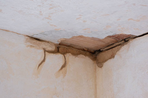 Best Water damage restoration near me  in Lenwood, CA