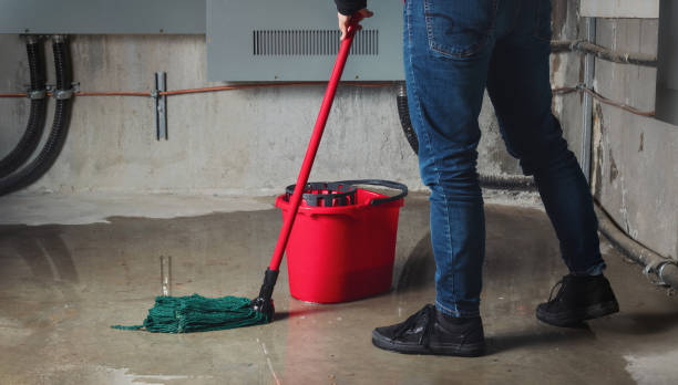 Best Water damage restoration mold remediation  in Lenwood, CA