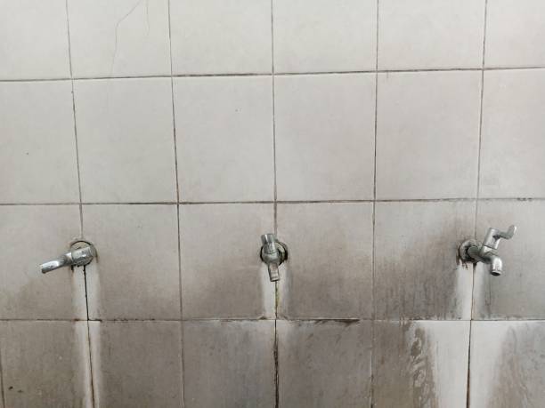 Best Water damage cleanup near me  in Lenwood, CA