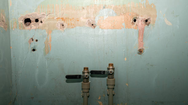 Best Carpet water damage restoration  in Lenwood, CA