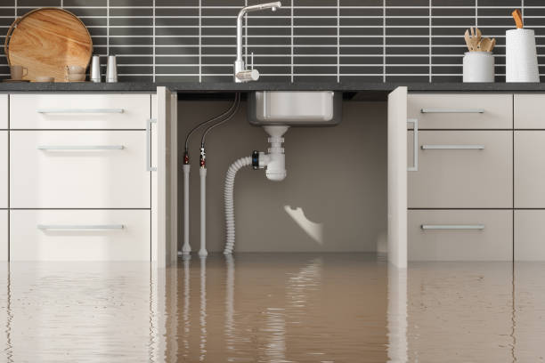 Best Water damage contractors near me  in Lenwood, CA