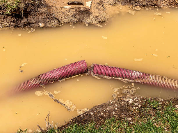 Best Water damage repair service  in Lenwood, CA