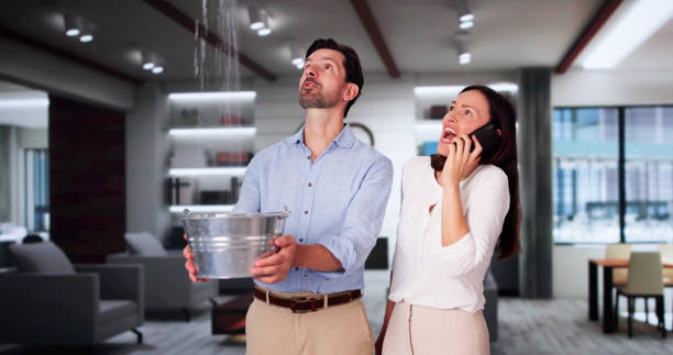 Best Commercial water damage restoration  in Lenwood, CA